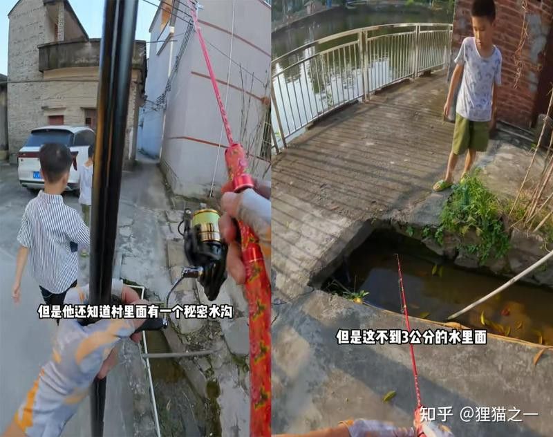 廣東雷龍魚哪里有的抓啊 廣東雷龍魚哪里有的抓啊 龍魚百科 第9張
