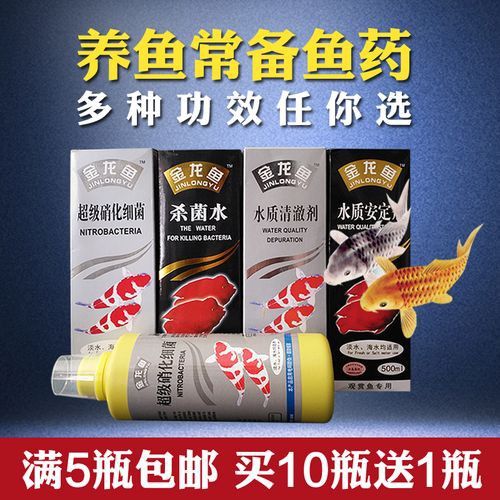 金龍魚(yú)一天喂幾次比較好？