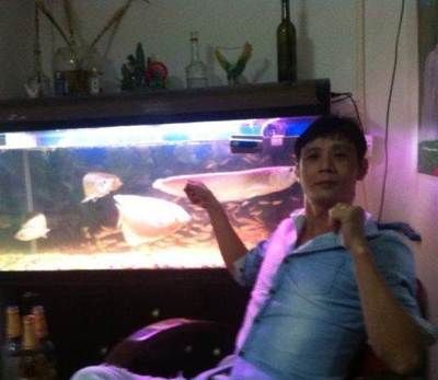 龍魚批發市場進貨渠道有哪些品牌：龍魚批發市場進貨渠道如何選擇