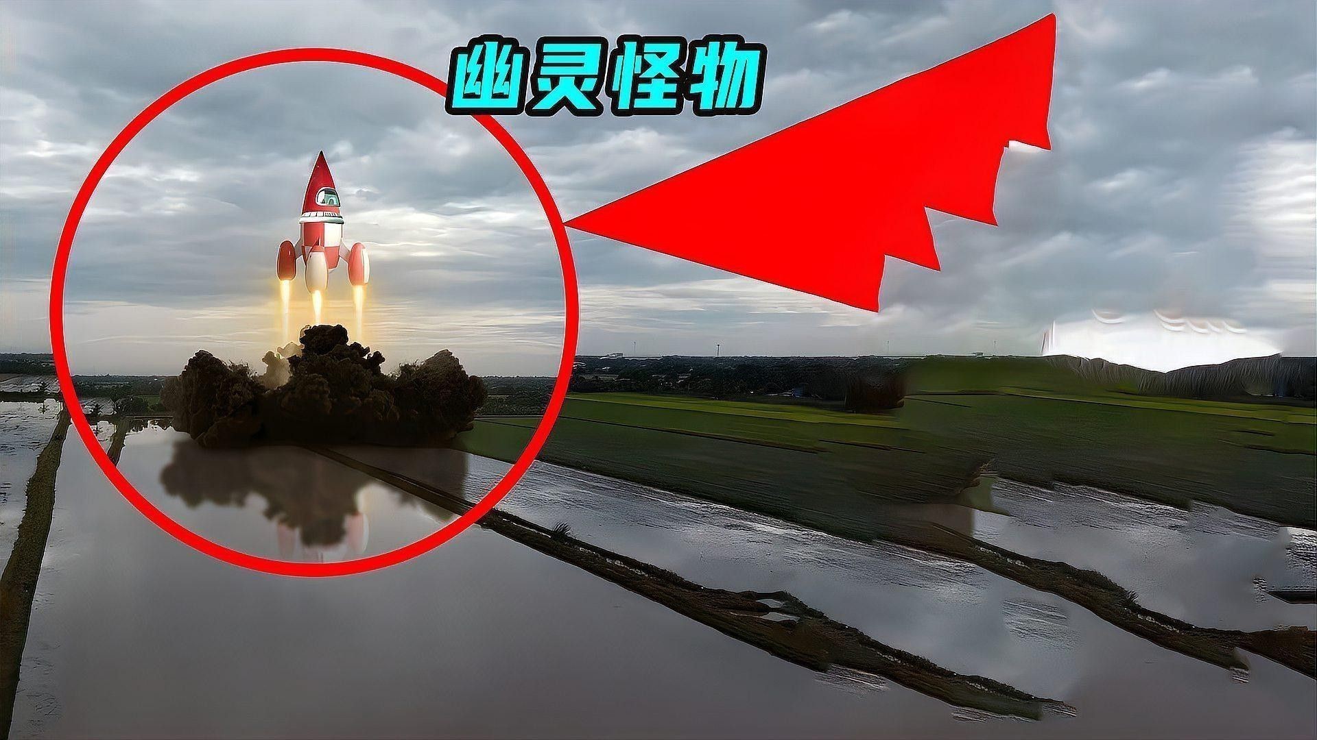 幽靈火箭和龍魚能混養嗎