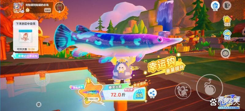 幽靈火箭和龍魚能混養嗎