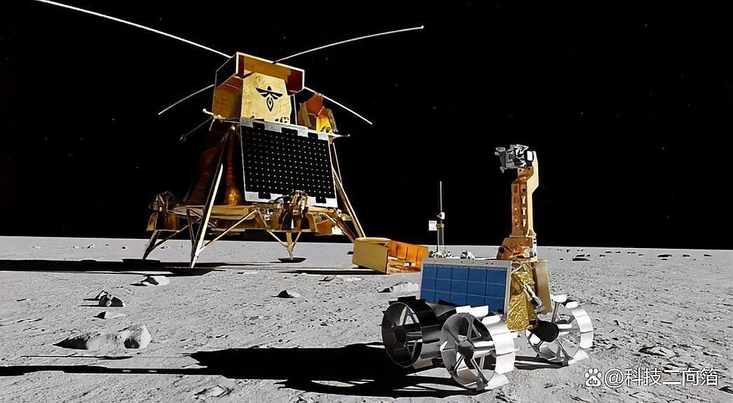 幽靈火箭和龍魚能混養嗎