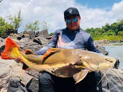 銀龍魚pk食人魚（銀龍魚與食人魚的區(qū)別）