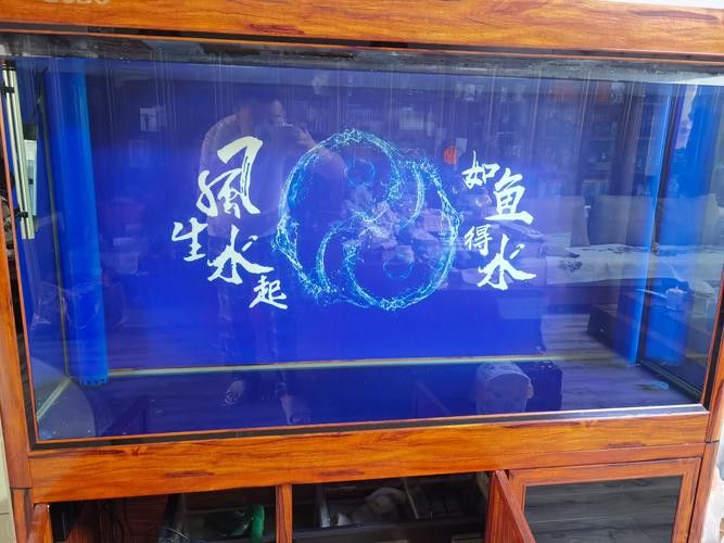 養龍魚魚缸背景圖
