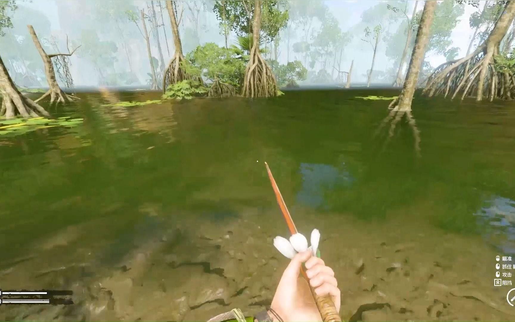 如何安全地捕捉成年金龍魚？