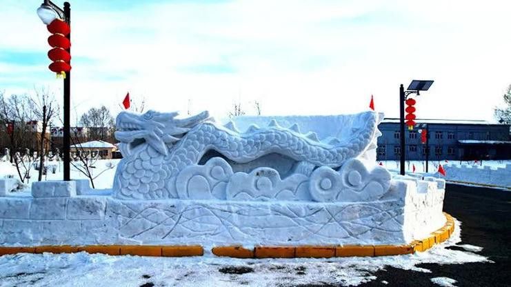 如何判斷金龍魚雪龍變種的品相？