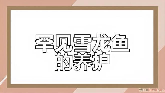 如何判斷金龍魚雪龍變種的品相？