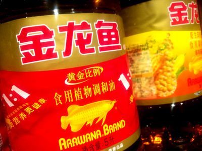 金龍魚出現(xiàn)問題：金龍魚再現(xiàn)問題油-專題-新聞頻道和訊財經(jīng)新聞