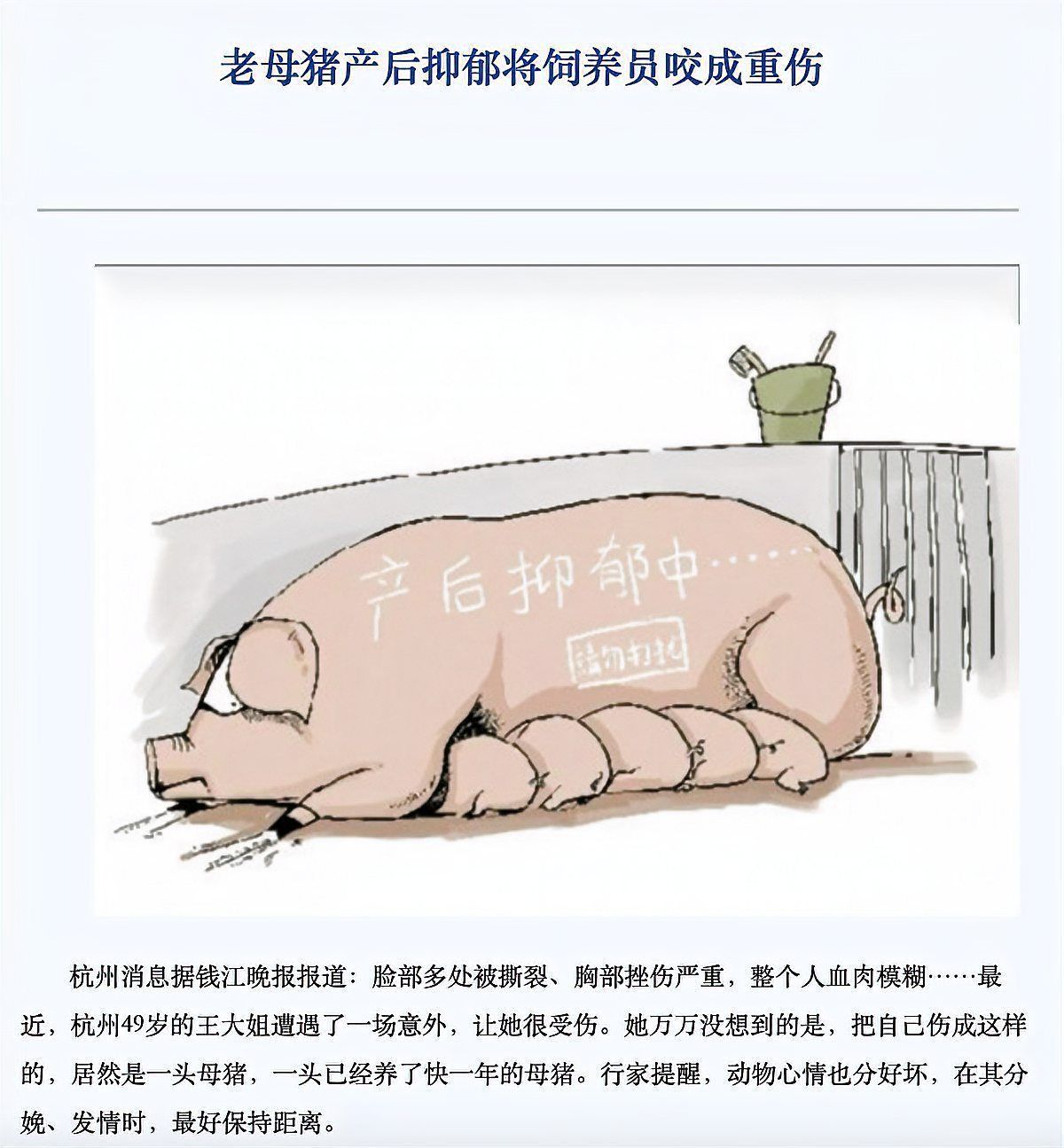 鯨魚奶