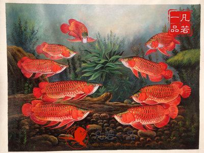龍魚畫掛在家里什么位置好：家里掛龍魚畫有哪些注意事項？