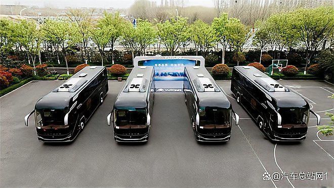 金龍地鐵車型的市場占有率如何？ 金龍地鐵車型的市場占有率如何？ 龍魚百科 第2張