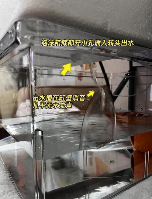 如何維持六角龍的飼養(yǎng)溫度穩(wěn)定？