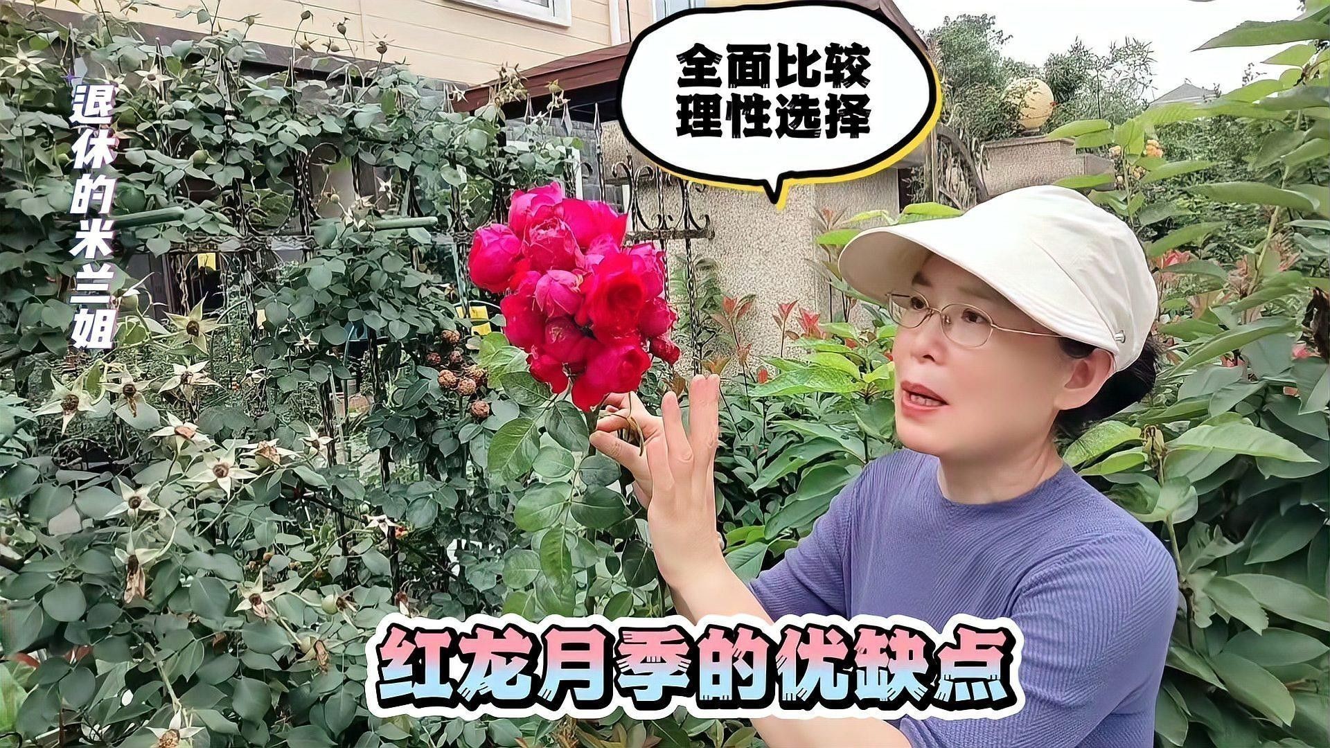 紅龍在《龍與地下城》中的實力如何？