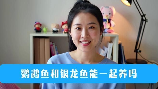 銀龍魚能與什么魚混養一起養殖