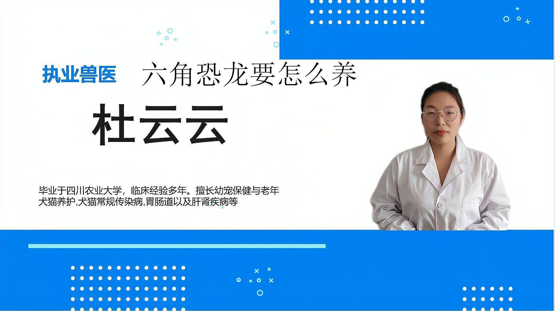 為什么不建議養(yǎng)六角恐龍