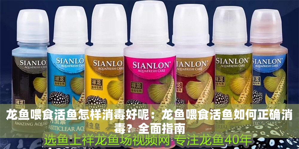 龍魚喂食活魚怎樣消毒好呢：龍魚喂食活魚如何正確消毒？全面指南