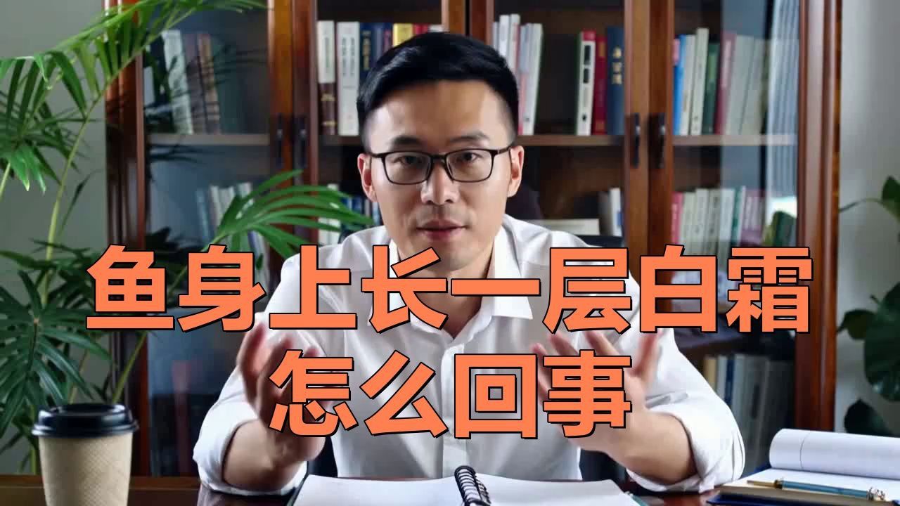 觀賞魚白霜病的早期癥狀