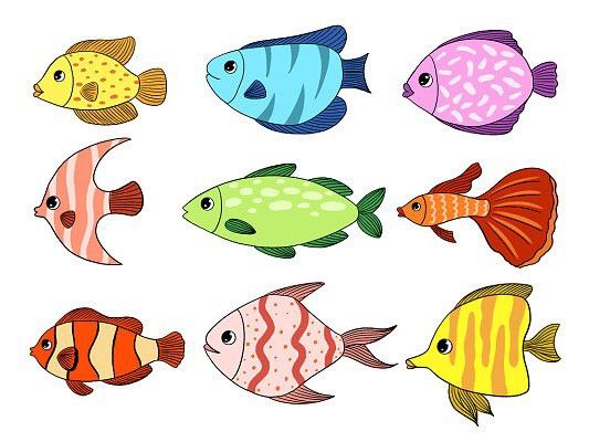 小龍魚卡通圖片