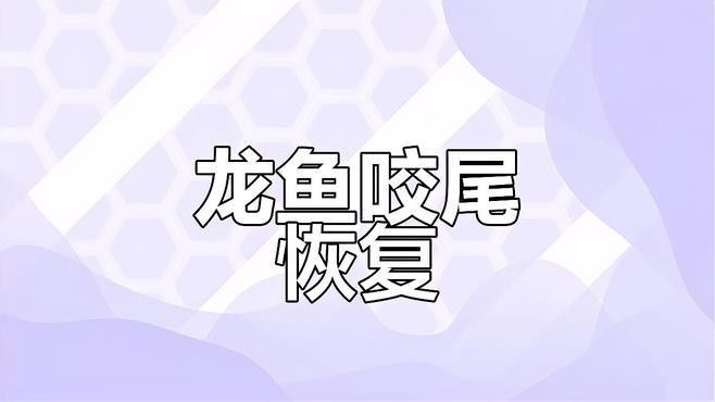 龍魚修尾手術視頻