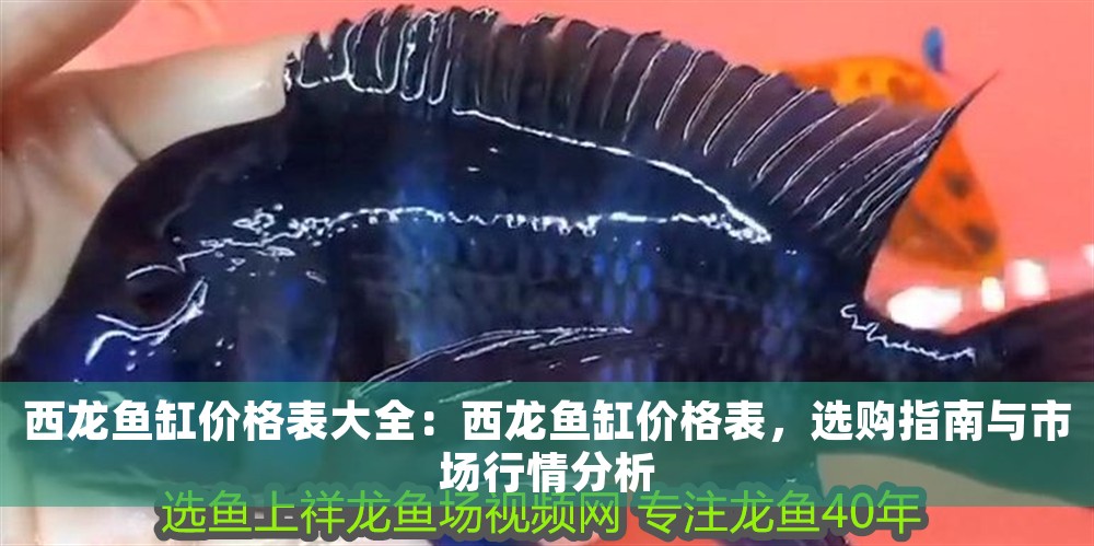 西龍魚缸價格表大全：西龍魚缸價格表，選購指南與市場行情分析