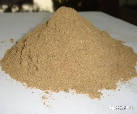 金龍魚的成長