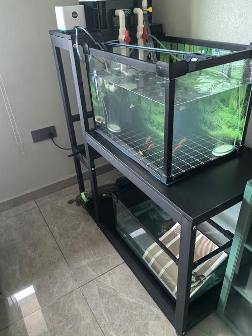 金九龍魚缸鋁合金柜子安裝圖 金九龍魚缸鋁合金柜子安裝圖 龍魚百科 第15張