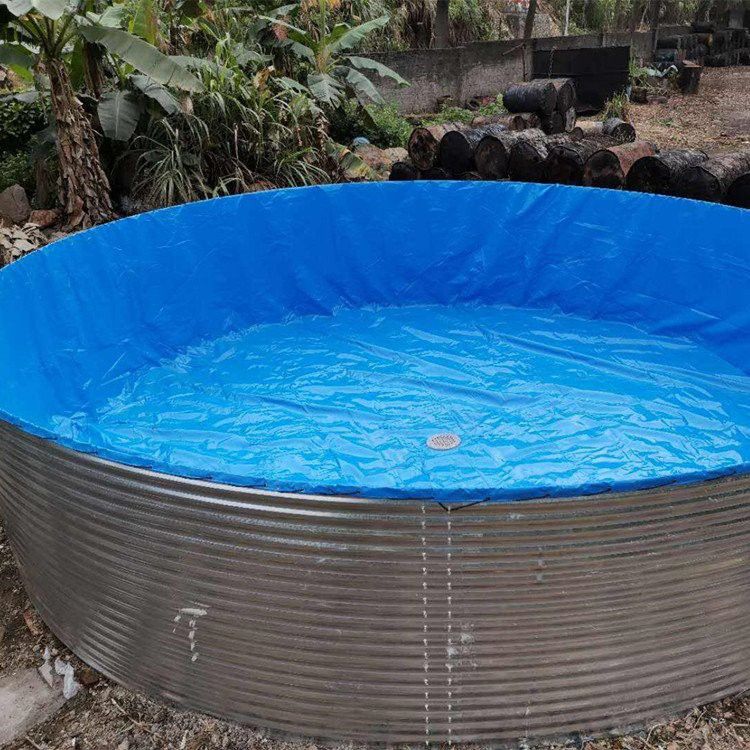 十米魚池預計花費多少錢？ 十米魚池預計花費多少錢？ 龍魚百科 第4張