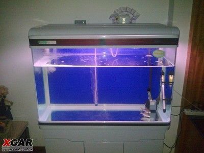 龍魚開缸養(yǎng)水