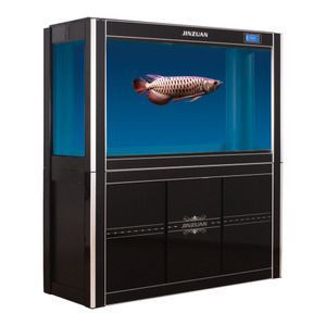 龍魚6500k【龍魚6500k燈光對龍魚生長的影響】