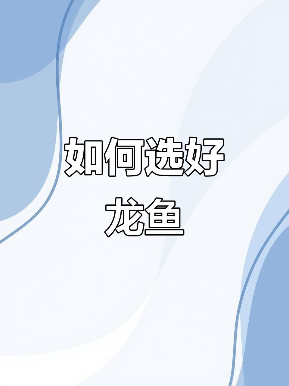 如何判斷福龍王龍魚的品相