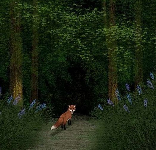 過背金龍魚最忌三種魚