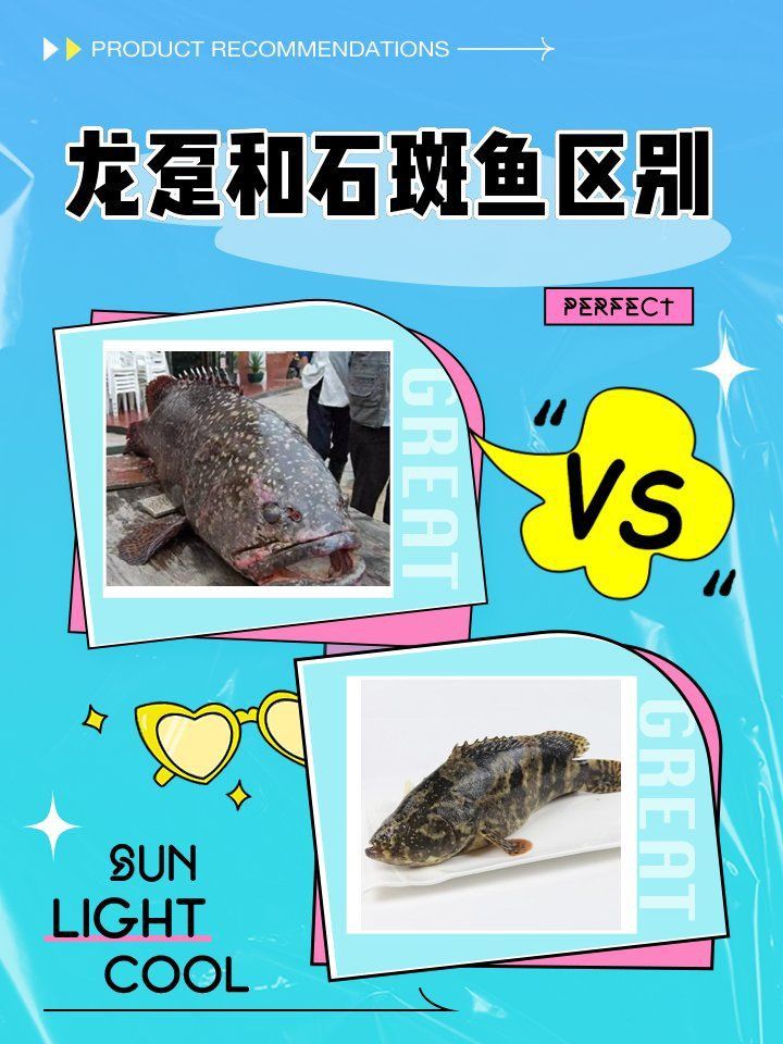 龍鼎魚多少錢一斤