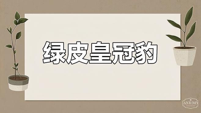 綠皮皇冠豹魚和豹魚哪個是正宗的