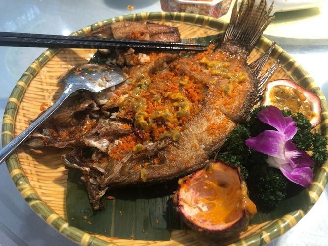 海南過山龍魚圖片高清大圖