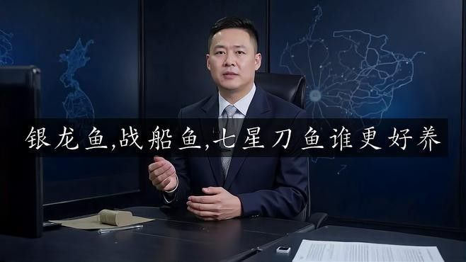 龍魚和戰船哪個好養活