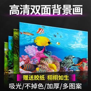魚缸背景圖3d（3d魚缸背景圖免費下載）