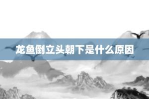 龍魚突然頭朝上尾朝下什么原因，龍魚出現頭朝上尾朝下的現象，可能是由于疾病導致的