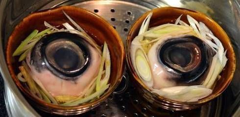 金龍魚眼突出來了（金龍魚眼突出來的原因及處理方法金龍魚眼突出來的原因及處理方法）