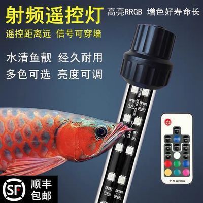 紅龍魚缸底色怎么調好看圖片（紅龍魚缸底色怎么調好看圖片大全）