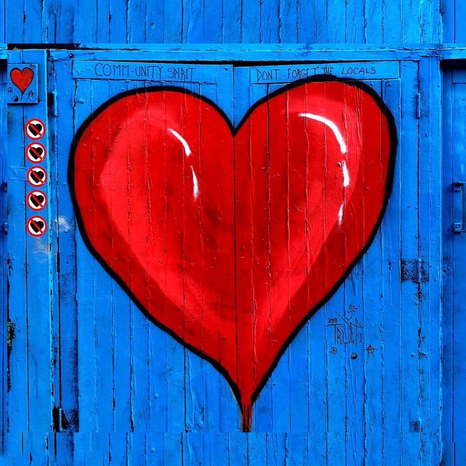 金龍魚,和藍底過背有什么區(qū)別那種好