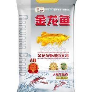 龍魚治病老三樣升溫多少度？：龍魚治病“老三樣”中升溫方法