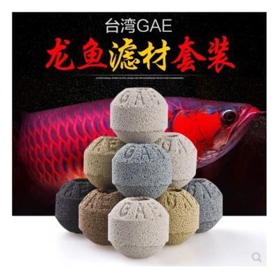 龍魚缸的物理過濾原理（龍魚缸物理過濾原理涉及通過物理過濾系統是確保龍魚缸水質穩定的關鍵步驟）