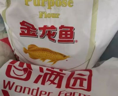 金龍魚日記300字：關于金龍魚的日記