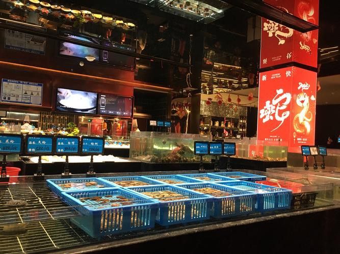 天津哪里賣龍魚比較好吃的 天津哪里賣龍魚比較好吃的 龍魚百科 第5張