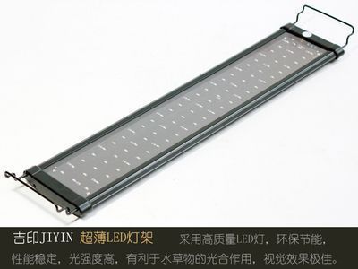 龍魚led燈：龍魚led燈品牌對比評測龍魚led燈光源