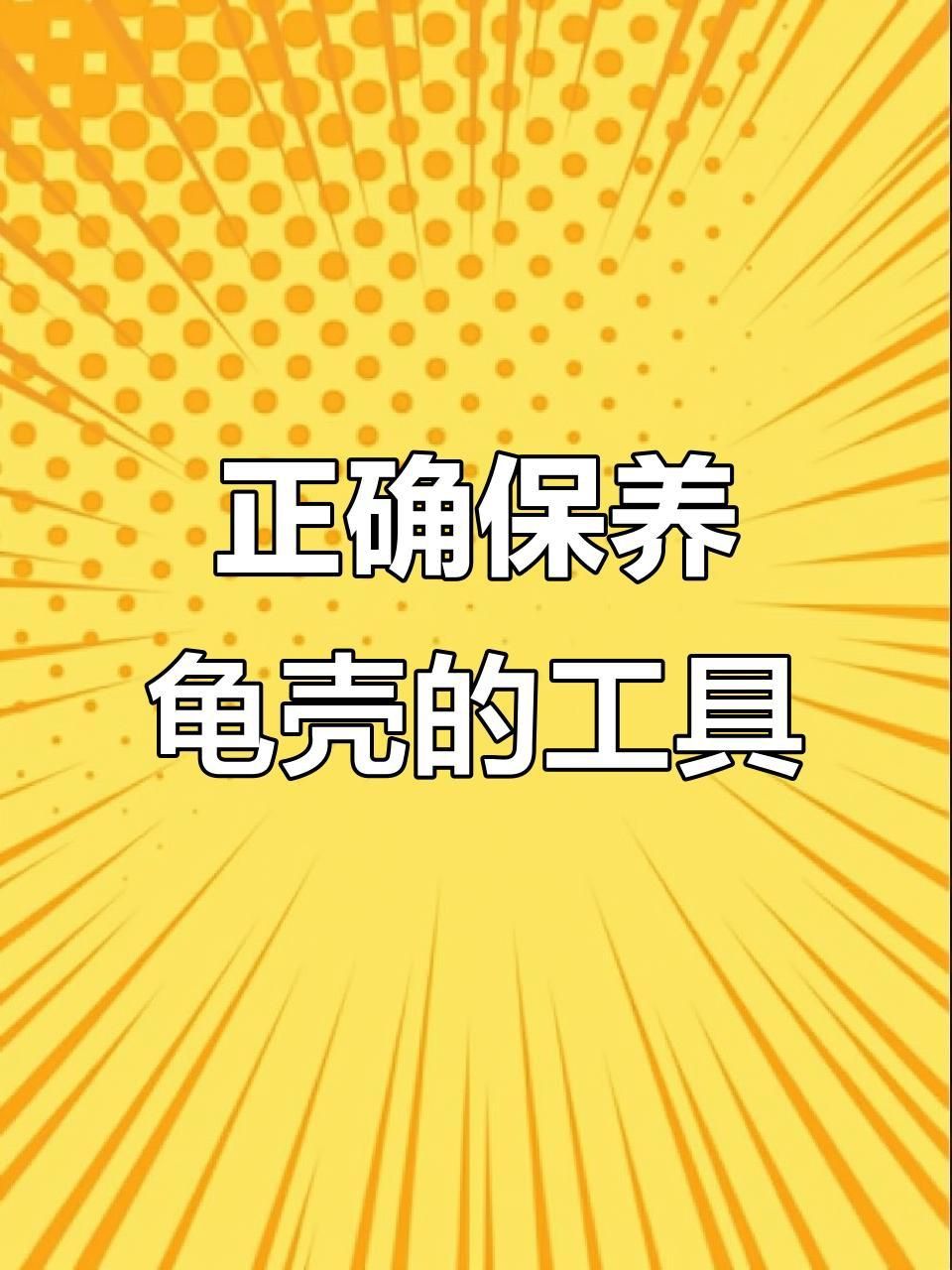 如何保持龜殼亮麗