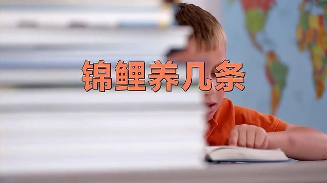 錦鯉養(yǎng)5條好還是7條好