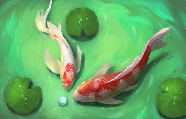 錦鯉養(yǎng)5條好還是7條好