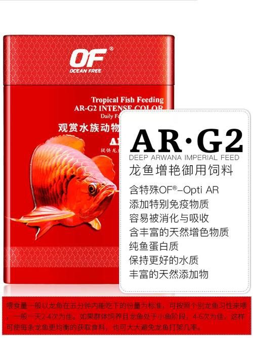 紅色銀龍魚圖片大全