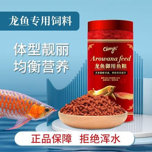 紅色銀龍魚圖片大全